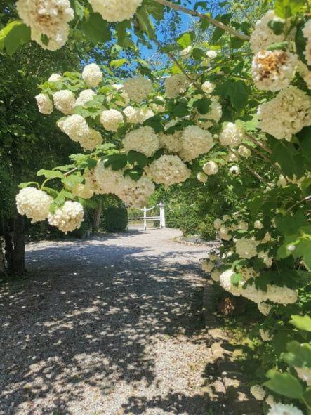 Le Clos De La Rose Gite Bien Etre Wirwignes Luaran gambar